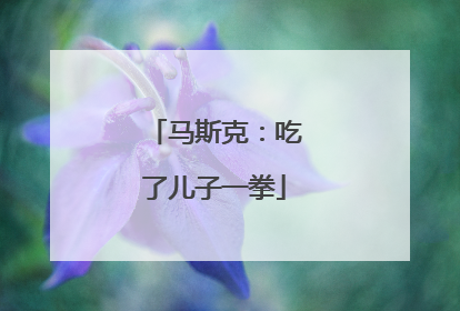 马斯克：吃了儿子一拳
