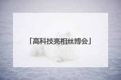 高科技亮相丝博会