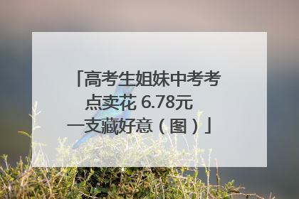 高考生姐妹中考考点卖花 6.78元一支藏好意（图）