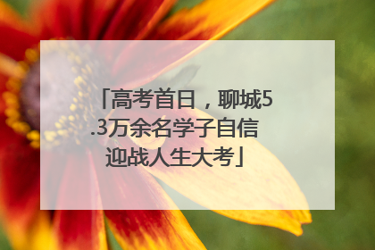 高考首日，聊城5.3万余名学子自信迎战人生大考