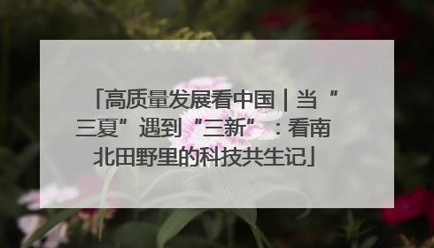 高质量发展看中国｜当“三夏”遇到“三新”：看南北田野里的科技共生记