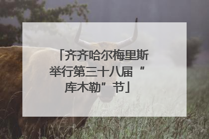 齐齐哈尔梅里斯举行第三十八届“库木勒”节