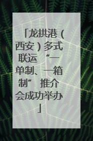 龙拱港（西安）多式联运 “一单制、一箱制” 推介会成功举办