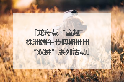 龙舟载“童趣” 株洲端午节假期推出“双拼”系列活动