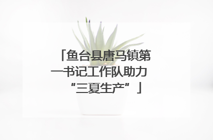 鱼台县唐马镇第一书记工作队助力“三夏生产”