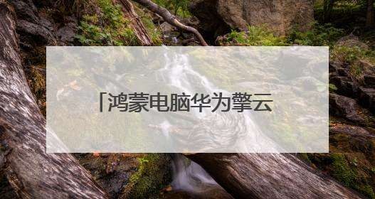 鸿蒙电脑华为擎云 HM940成为2025天津夏季达沃斯中方办公支持电脑