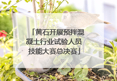 黄石开展预拌混凝土行业试验人员技能大赛总决赛