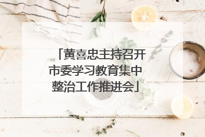 黄喜忠主持召开市委学习教育集中整治工作推进会