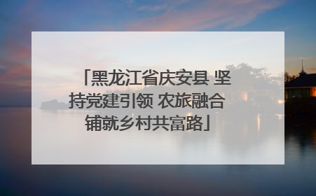 黑龙江省庆安县 坚持党建引领 农旅融合铺就乡村共富路