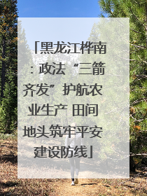 黑龙江桦南：政法“三箭齐发”护航农业生产 田间地头筑牢平安建设防线