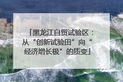 黑龙江自贸试验区：从“创新试验田”向“经济增长极”的质变