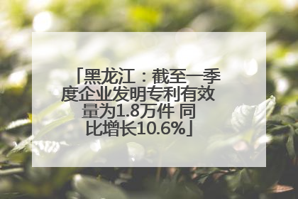 黑龙江：截至一季度企业发明专利有效量为1.8万件 同比增长10.6%