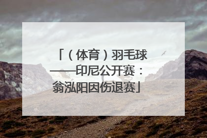 （体育）羽毛球——印尼公开赛：翁泓阳因伤退赛