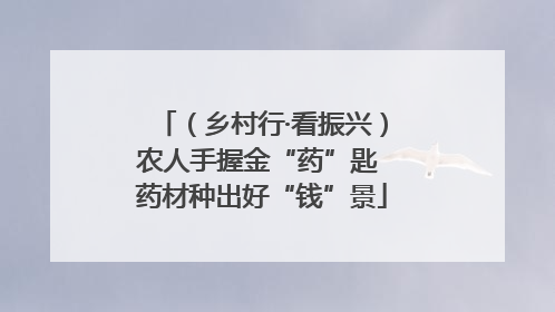 （乡村行·看振兴）农人手握金“药”匙 药材种出好“钱”景