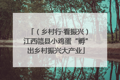 （乡村行·看振兴）江西赣县小鸡蛋“孵”出乡村振兴大产业