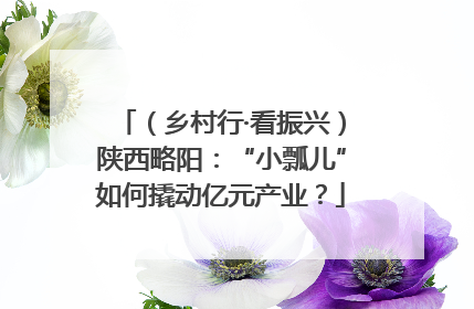 （乡村行·看振兴）陕西略阳：“小瓢儿”如何撬动亿元产业？