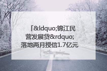 “锦江民营发展贷”落地两月授信1.7亿元，惠及118家民企