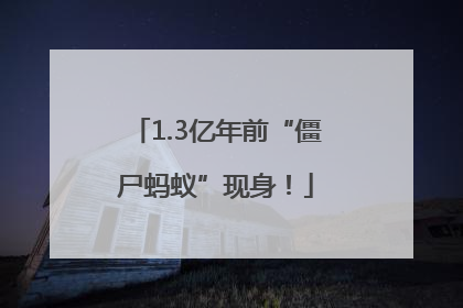 1.3亿年前“僵尸蚂蚁”现身！