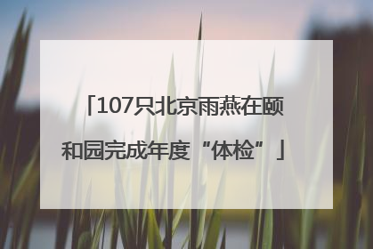 107只北京雨燕在颐和园完成年度“体检”