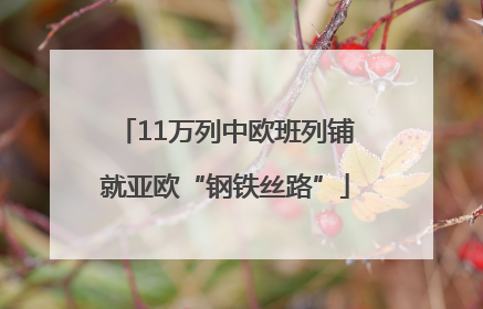 11万列中欧班列铺就亚欧“钢铁丝路”