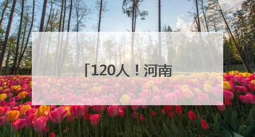 120人！河南省全科医生特设岗位计划招聘