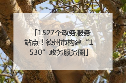 1527个政务服务站点！德州市构建“1530”政务服务圈