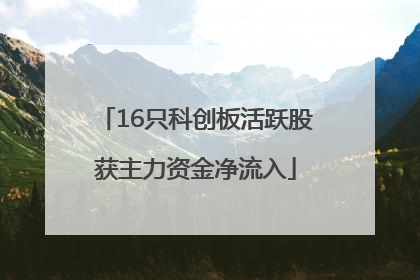 16只科创板活跃股获主力资金净流入