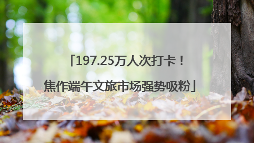 197.25万人次打卡！焦作端午文旅市场强势吸粉