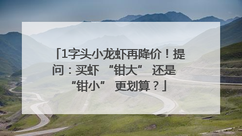 1字头小龙虾再降价！提问：买虾 “钳大” 还是 “钳小” 更划算？