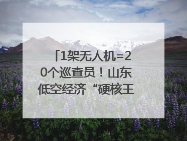 1架无人机=20个巡查员！山东低空经济“硬核王炸”亮相青岛，下一个万亿赛道藏在这里