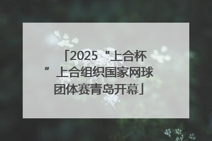 2025“上合杯”上合组织国家网球团体赛青岛开幕