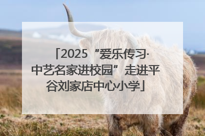 2025“爱乐传习·中艺名家进校园”走进平谷刘家店中心小学