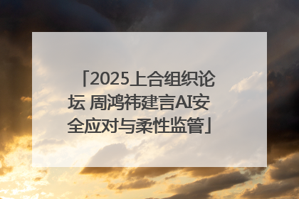 2025上合组织论坛 周鸿祎建言AI安全应对与柔性监管