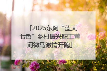 2025东阿“蓝天七色”乡村振兴职工黄河微马激情开跑