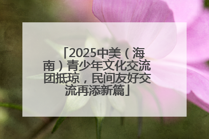 2025中美（海南）青少年文化交流团抵琼，民间友好交流再添新篇
