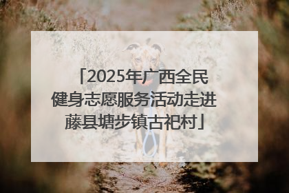 2025年广西全民健身志愿服务活动走进藤县塘步镇古祀村