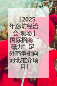 2025年廊坊经洽会·现场丨国际招商“磁力”足 外商争相向河北推介项目