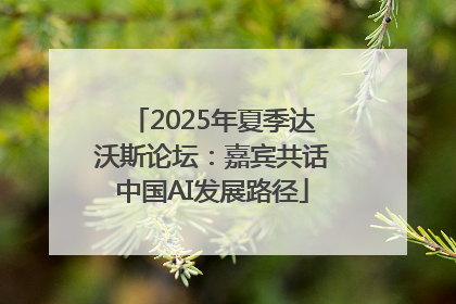 2025年夏季达沃斯论坛：嘉宾共话中国AI发展路径
