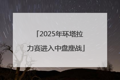 2025年环塔拉力赛进入中盘鏖战