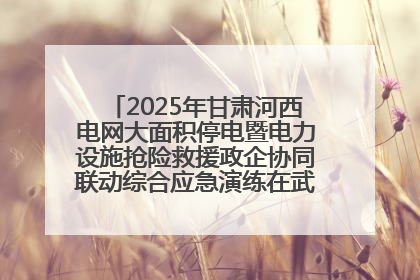 2025年甘肃河西电网大面积停电暨电力设施抢险救援政企协同联动综合应急演练在武威成功举行