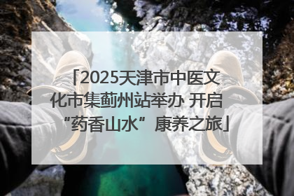 2025天津市中医文化市集蓟州站举办 开启“药香山水”康养之旅
