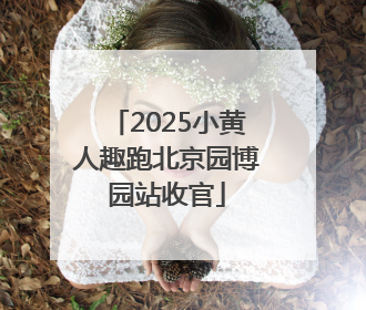 2025小黄人趣跑北京园博园站收官