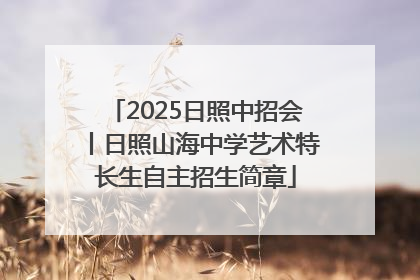 2025日照中招会丨日照山海中学艺术特长生自主招生简章