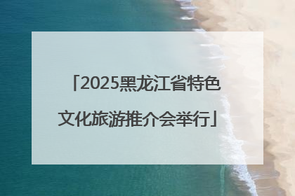 2025黑龙江省特色文化旅游推介会举行