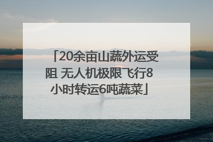 20余亩山蔬外运受阻 无人机极限飞行8小时转运6吨蔬菜