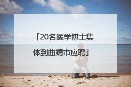 20名医学博士集体到曲靖市应聘