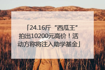 24.16斤“西瓜王”拍出10200元高价！活动方称将注入助学基金