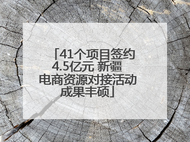 41个项目签约4.5亿元 新疆电商资源对接活动成果丰硕