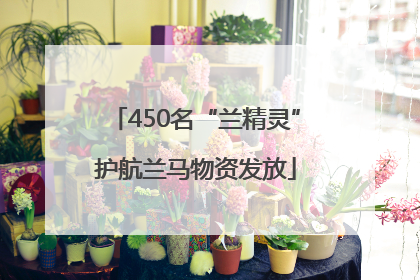 450名“兰精灵”护航兰马物资发放