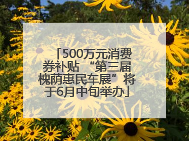 500万元消费券补贴 “第三届槐荫惠民车展”将于6月中旬举办
